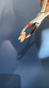 DENTALIN CANCÚN