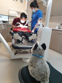 Victoria Street Dental