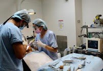 Dental Implant Professionals