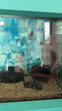 North Gold Coast Dental Care Runaway Bay