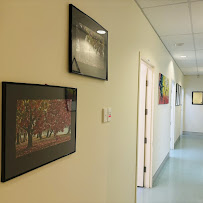 Primary Dental Belconnen