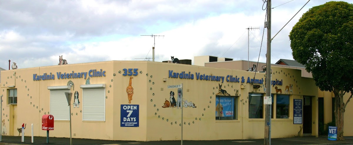 Kardinia Veterinary Clinic - dental clinic in Geelong, Australia
