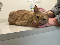 Kardinia Veterinary Clinic