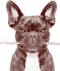 Flash Dental Mt Eden