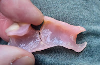 Lumino The Dentists | New Lynn