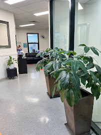 Maven Dental Cairns North