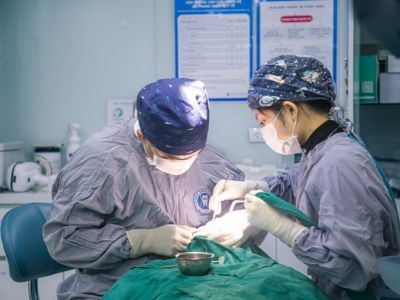 Global Dental Clinic Hanoi in Hanoi, Vietnam, photograph 5