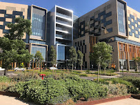 Bendigo Health