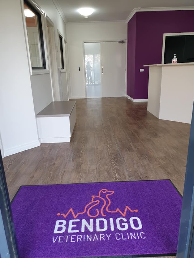 Bendigo Veterinary Clinic - dental clinic in Bendigo, Australia