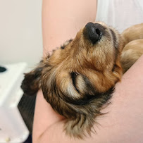 Bendigo Veterinary Clinic