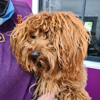 Bendigo Veterinary Clinic