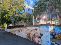 Animal Medical Centre