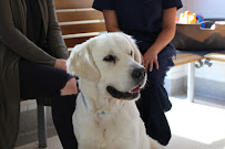 Animal Medical Centre