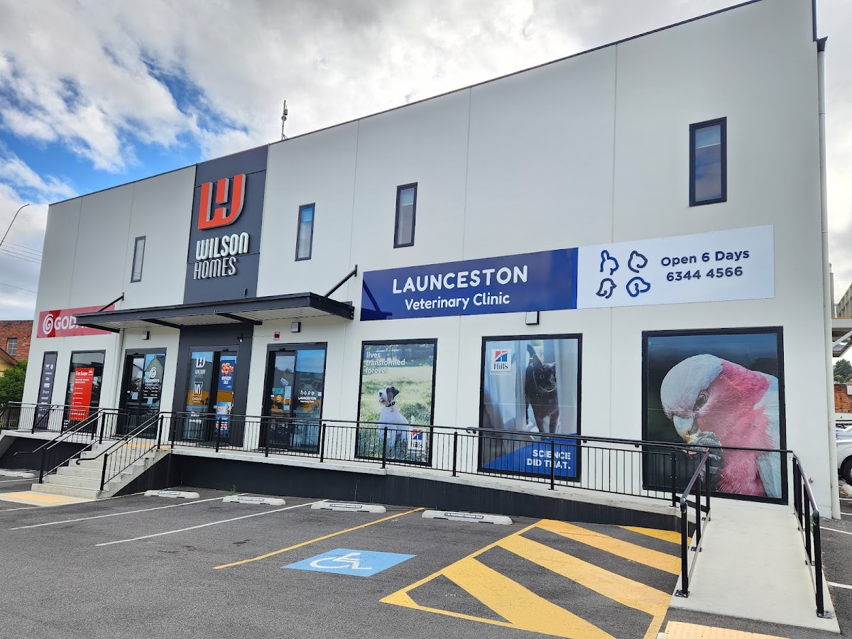 Launceston Veterinary Clinic - dental clinic in Launceston, Australia