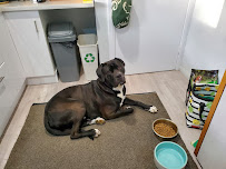 Launceston Veterinary Clinic