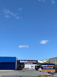 PetO Launceston Central