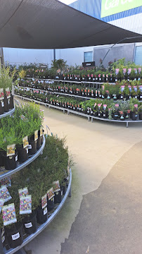 Becks Mitre 10 Launceston