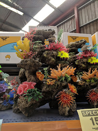 Petstock Country Launceston