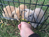 Petstock Country Launceston