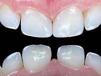 North Rocky Dental