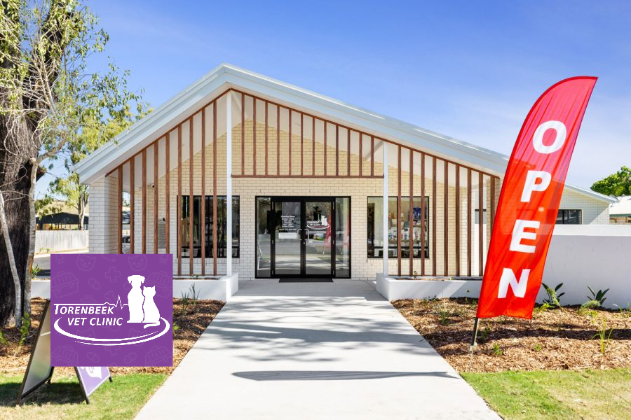 Torenbeek Veterinary Clinic - dental clinic in Rockhampton