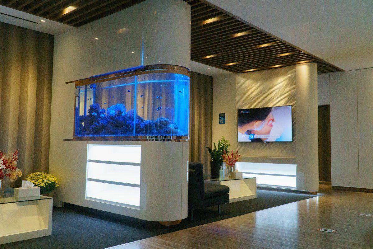 Westcoast International Dental Clinic (Norfolk Mansion) reception area