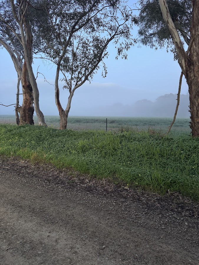 Peter Street Medical Centre - dental clinic in Wagga Wagga, Australia