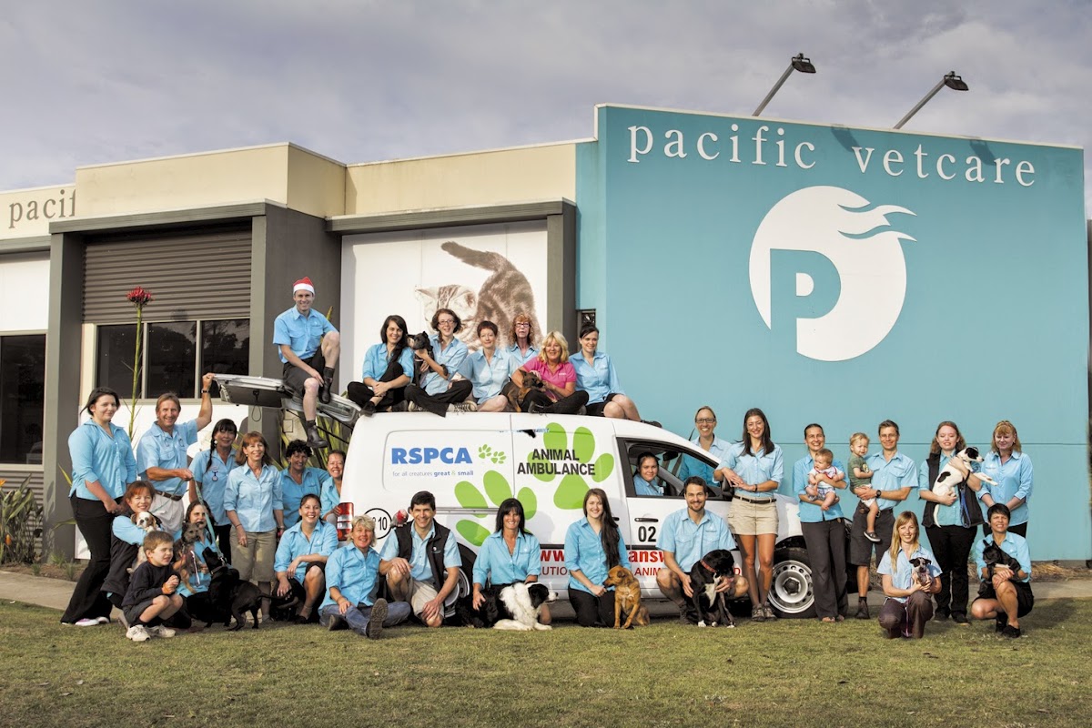 Pacific Vetcare Coffs Harbour - dental clinic in Coffs Harbour, Australia