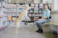 Pacific Vetcare Coffs Harbour