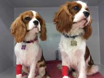 Pacific Vetcare Coffs Harbour