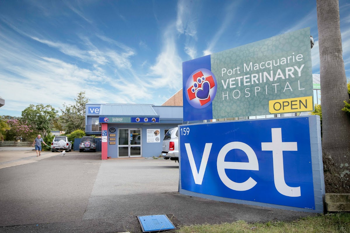 Port Macquarie Veterinary Hospital - dental clinic in Port Macquarie, Australia