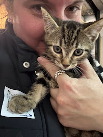 Port Macquarie Veterinary Hospital