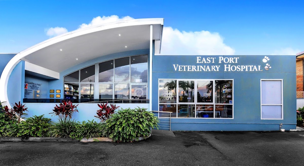 East Port Veterinary Hospital - dental clinic in Port Macquarie, Australia