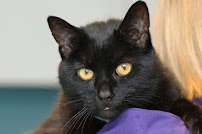 East Port Veterinary Hospital