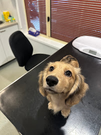 Greencross Vets Port Macquarie