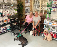 Greencross Vets Port Macquarie