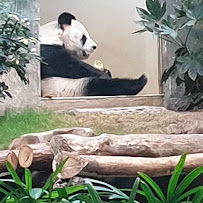 Petstock Port Macquarie