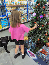 Petstock Port Macquarie