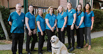 Trigger Dental Lismore