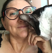 Kalgoorlie Dental Surgery