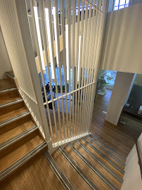 Wellington Dentists Ltd