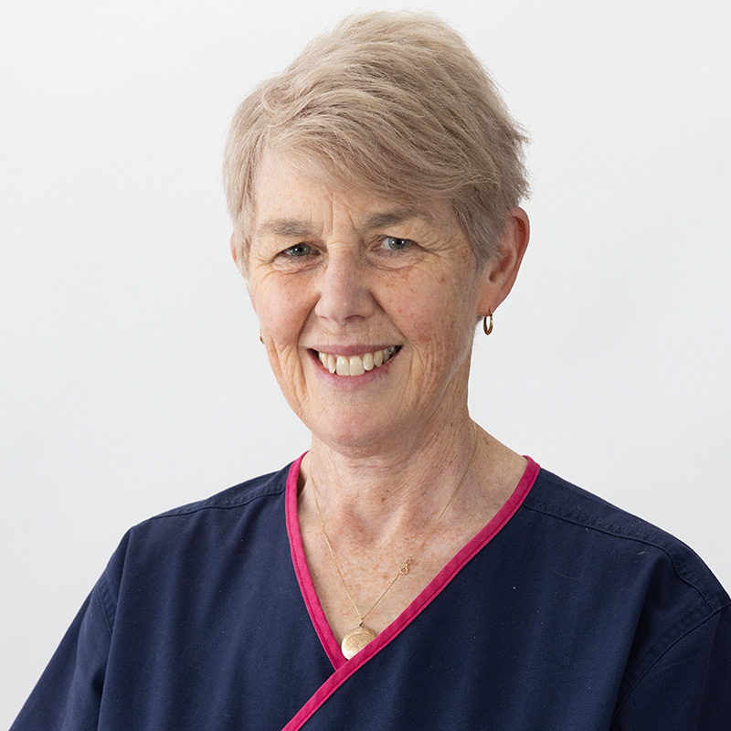 Dentist Helen Gibbons - General Dentistry, Minimally Invasive Treatments