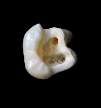 Christchurch Boutique Dental