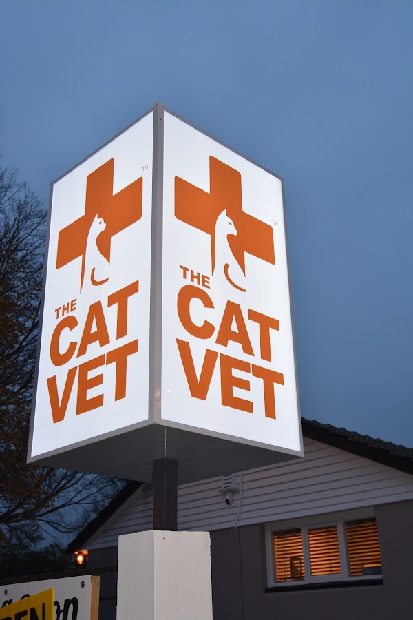The Cat Vet - dental clinic in Christchurch, New Zealand