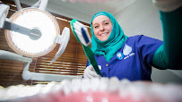 Waikato Endodontics