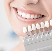 Beyond Dental Papamoa