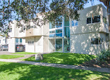 Tauranga OMS