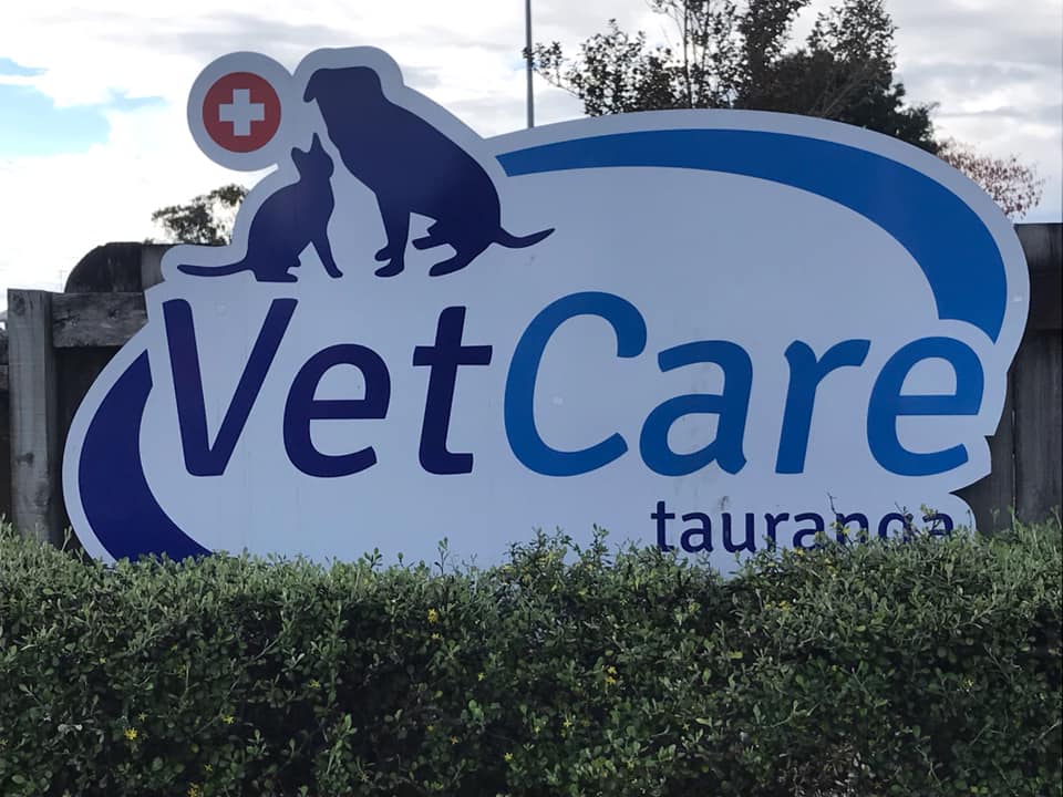 VetCare Tauranga - dental clinic in Tauranga, New Zealand