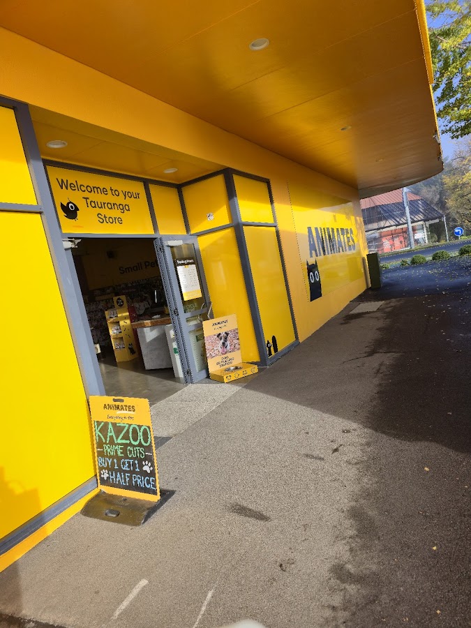 Animates Tauranga - dental clinic in Tauranga, New Zealand