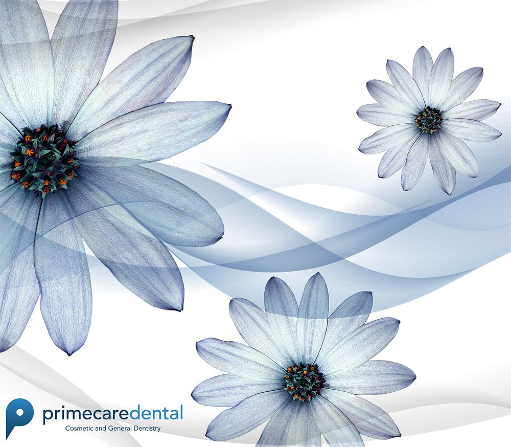 Primecare Dental Palmerston North